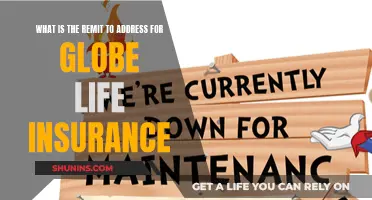 Understanding Globe Life Insurance: Scope and Remit Explained