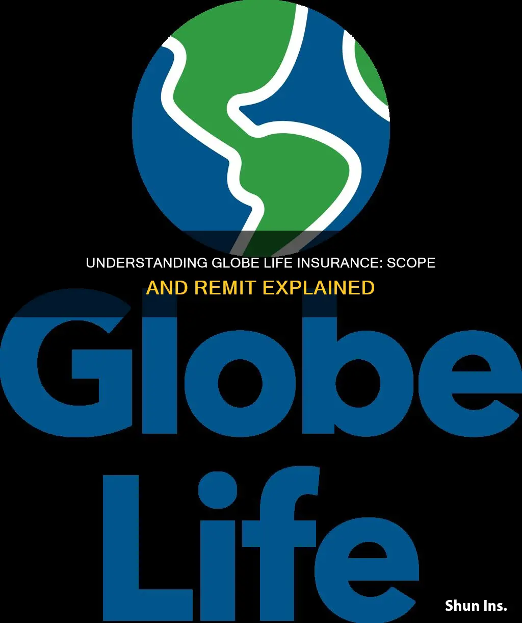 what is the remit to address for globe life insurance