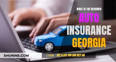 Auto Insurance in Georgia: What You Need to Know