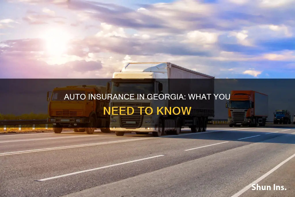 what is the required auto insurance georgia