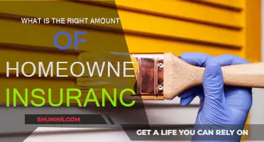 How Much Home Insurance Do You Need?