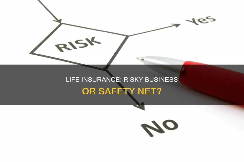 what is the risk of life insurance