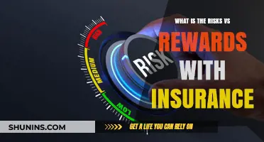 Insurance: Risks, Rewards, and the Fine Print