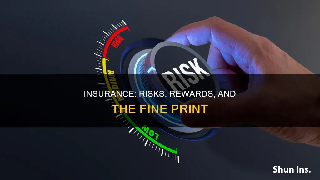 what is the risks vs rewards with insurance