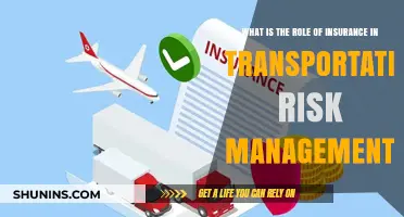 Transportation Risk Management: Insuring Safe Travel