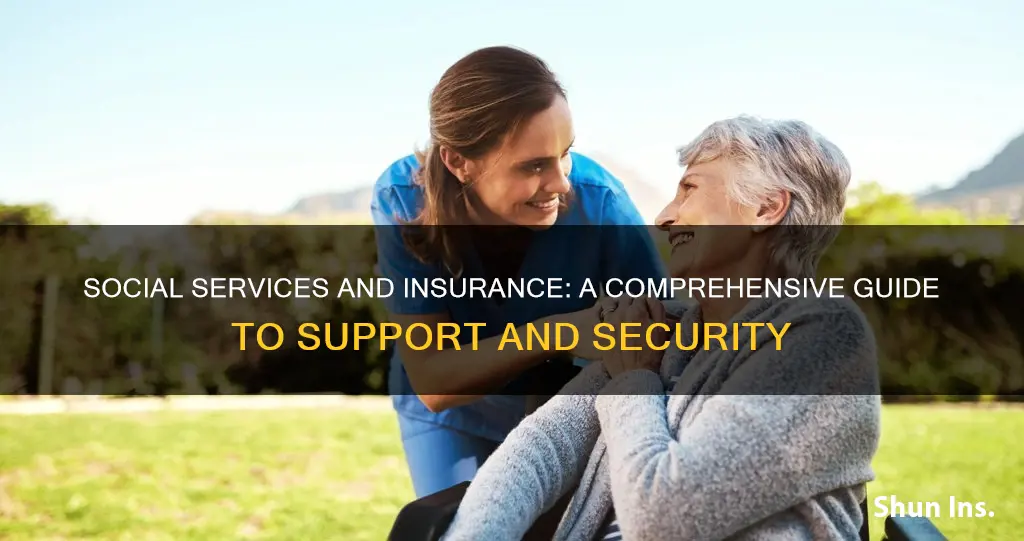 what is the role of social services and insurance