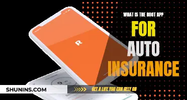 Understanding Auto Insurance: The Root App Explained