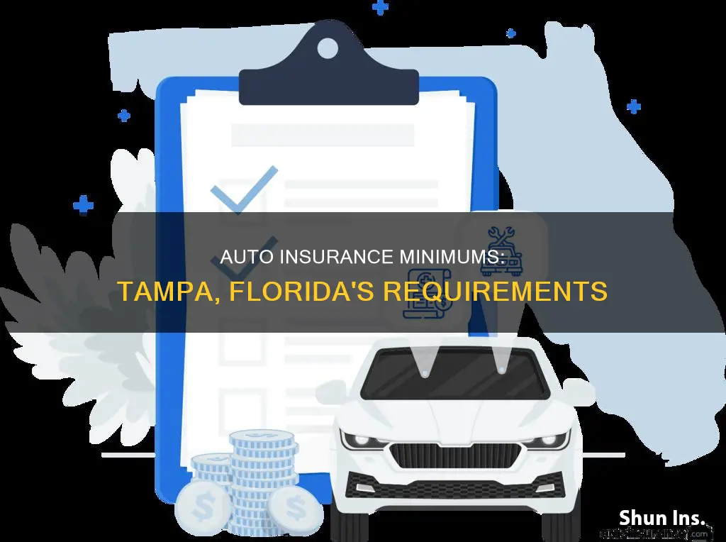 what is the state minimum auto insurance in tampa florida