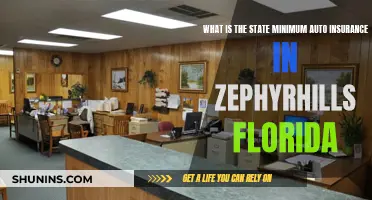 Auto Insurance Minimums: Zephyrhills, Florida's Essential Coverage Requirements