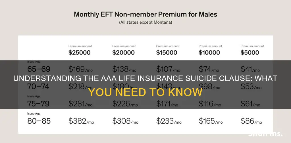 what is the suicide clause for aaa life insurance