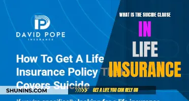 Understanding the Suicide Clause: What You Need to Know