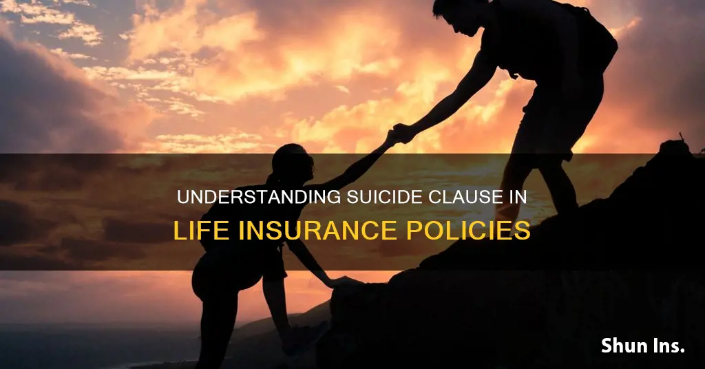 what is the suicide clause in life insurance