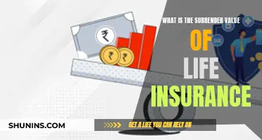 Understanding Life Insurance: Surrender Value and Its Benefits