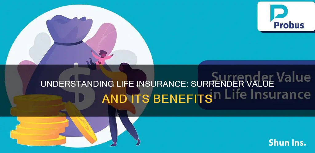 what is the surrender value of life insurance