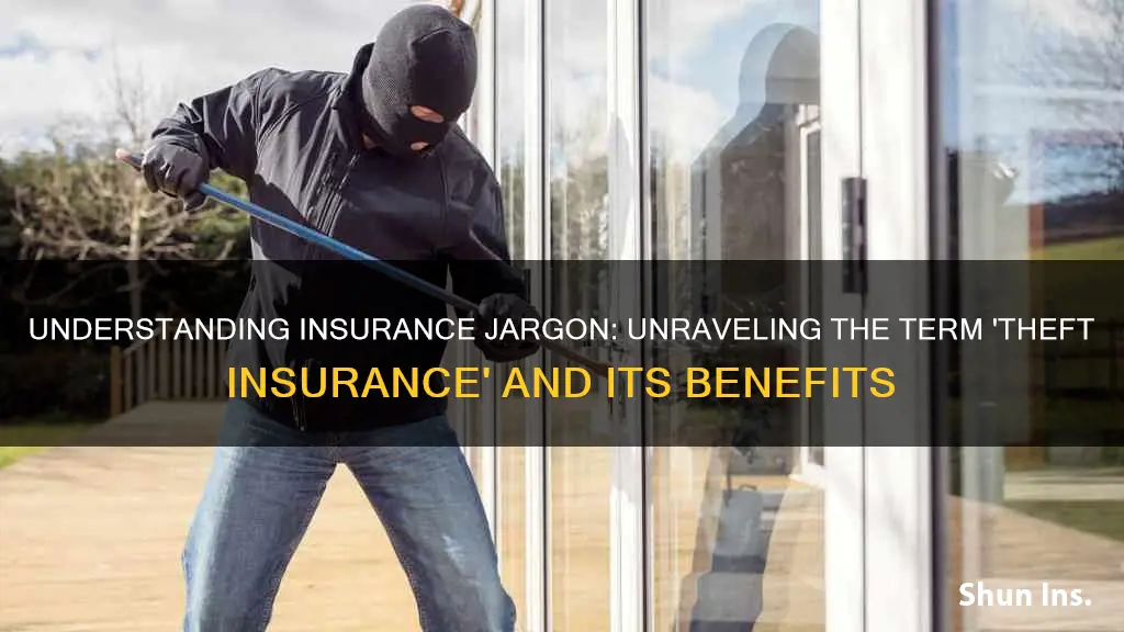 what is the term for being insured against theft