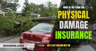 The Intricacies of Physical Damage Insurance: Understanding Comprehensive Coverage