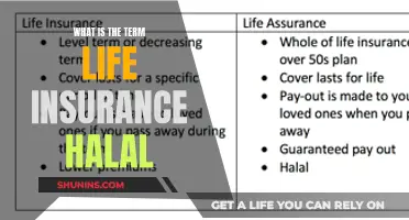 Is Life Insurance Halal? Exploring Islamic Finance Principles