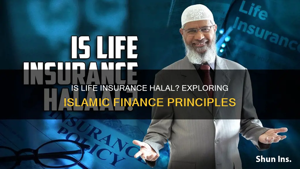 what is the term life insurance halal