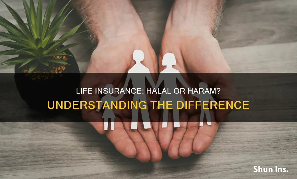 what is the term life insurance halal