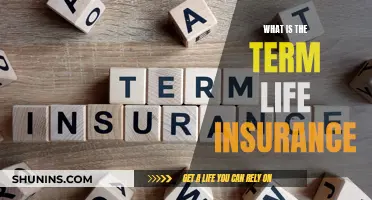 Life Insurance 101: Understanding Term Policies