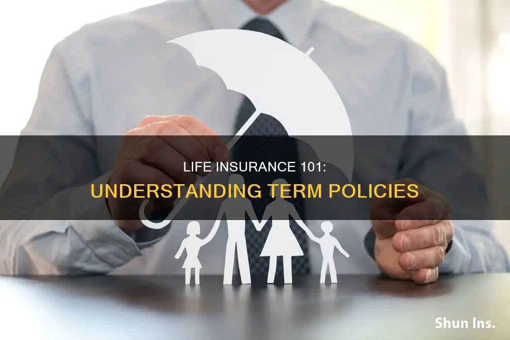 what is the term life insurance