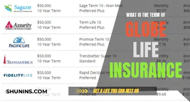 Understanding Globe Life Insurance: Term Lengths Explained