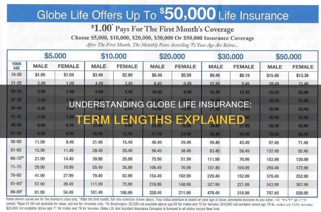 what is the term of globe life insurance