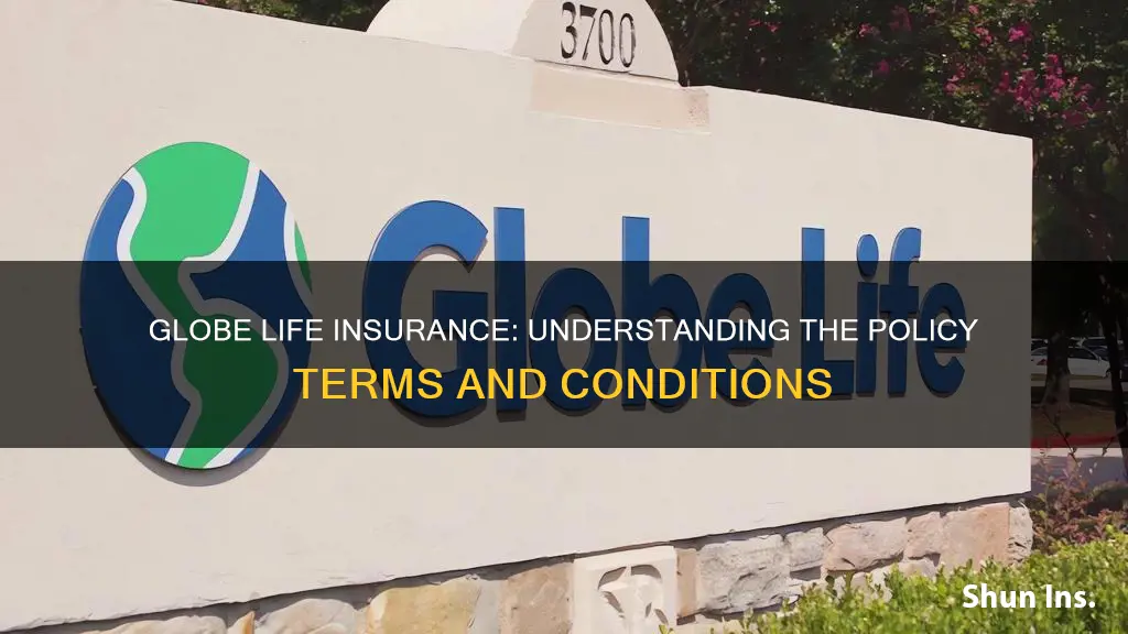 what is the term of globe life insurance