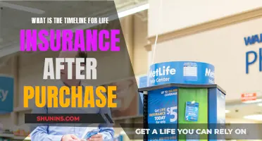 Understanding Post-Purchase Life Insurance: Key Milestones and Timelines