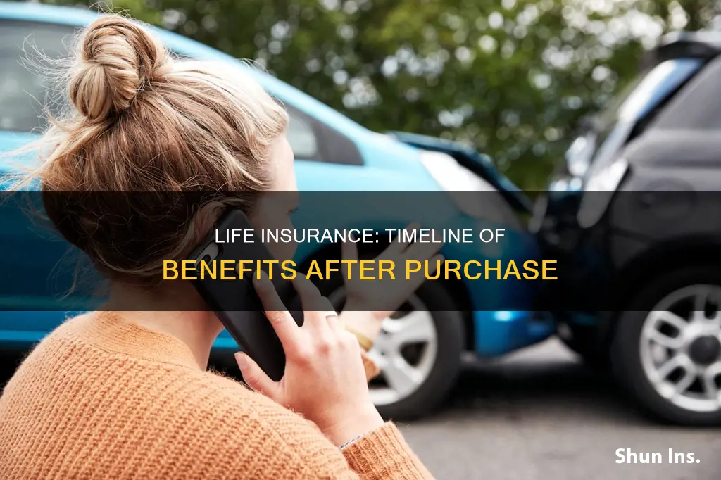 what is the timeline for life insurance after purchase