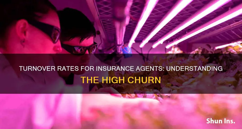 what is the turnover rate for insurance agents