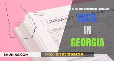 Unemployment Insurance Rate: Georgia's Support for the Unemployed