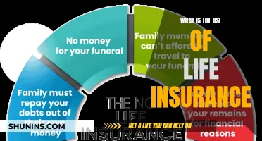 Protect Your Future: Understanding Life Insurance Benefits