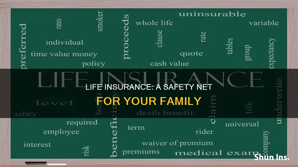 what is the use of life insurance