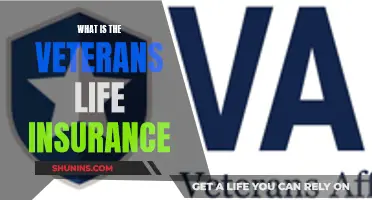 Veterans Life Insurance: A Comprehensive Guide to Benefits and Coverage