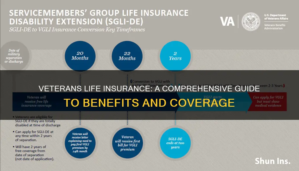 what is the veterans life insurance