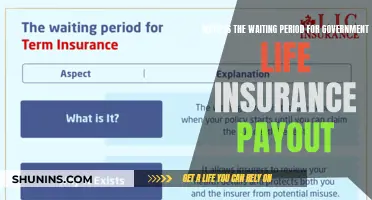 Understanding the Waiting Period: Government Life Insurance Payouts Explained