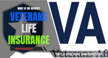 Understanding Elderly Veterans' Life Insurance: A Comprehensive Guide