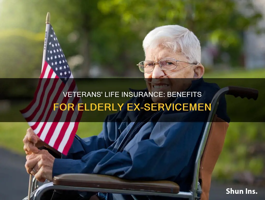 what is the wlderly veterans life insurance