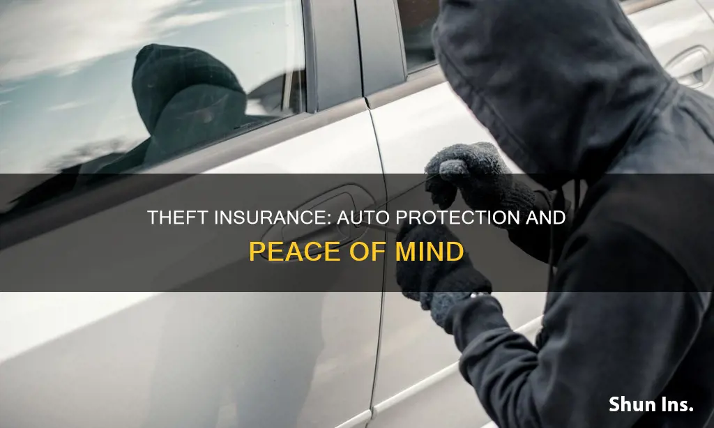 what is theft insurance under on auto