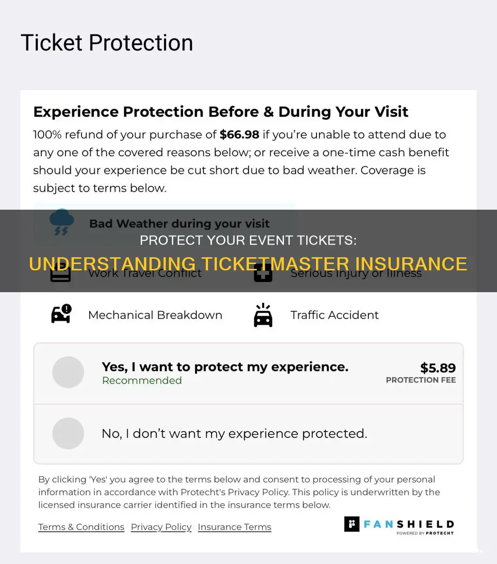 what is ticket master insurance