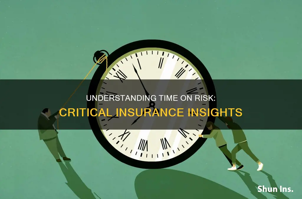 what is time on risk in insurance