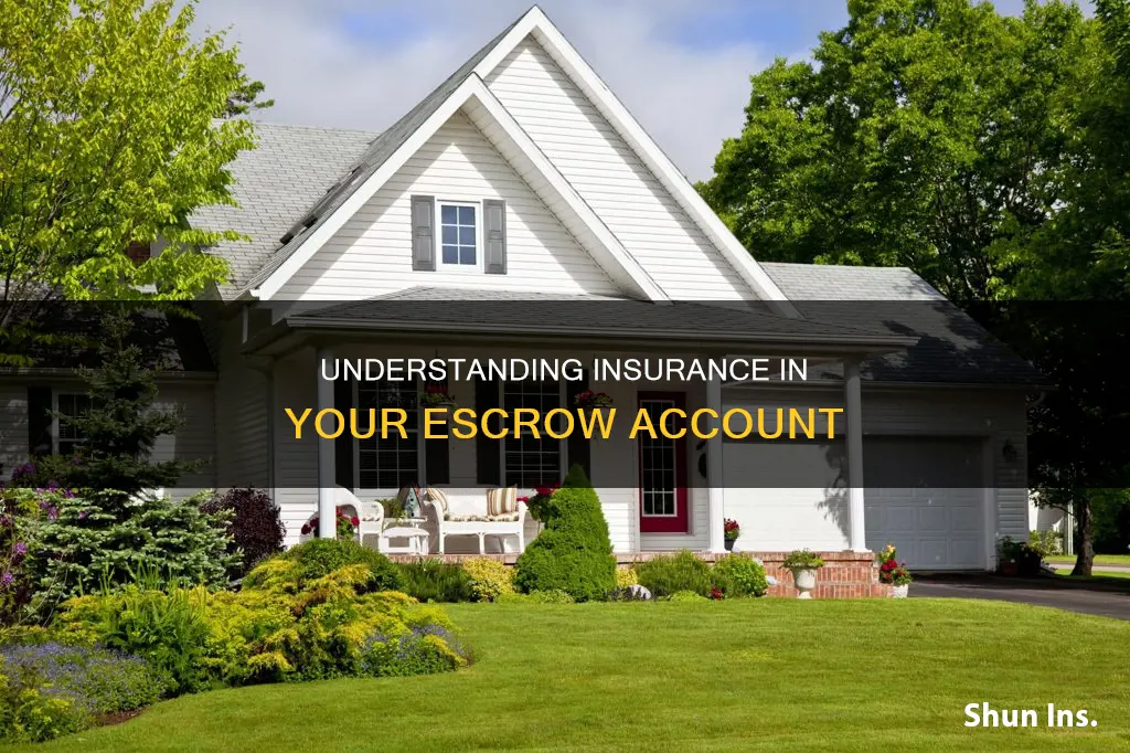 what is tje insurance part of your esrow account