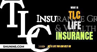 Understanding TLC Life Insurance: A Comprehensive Guide