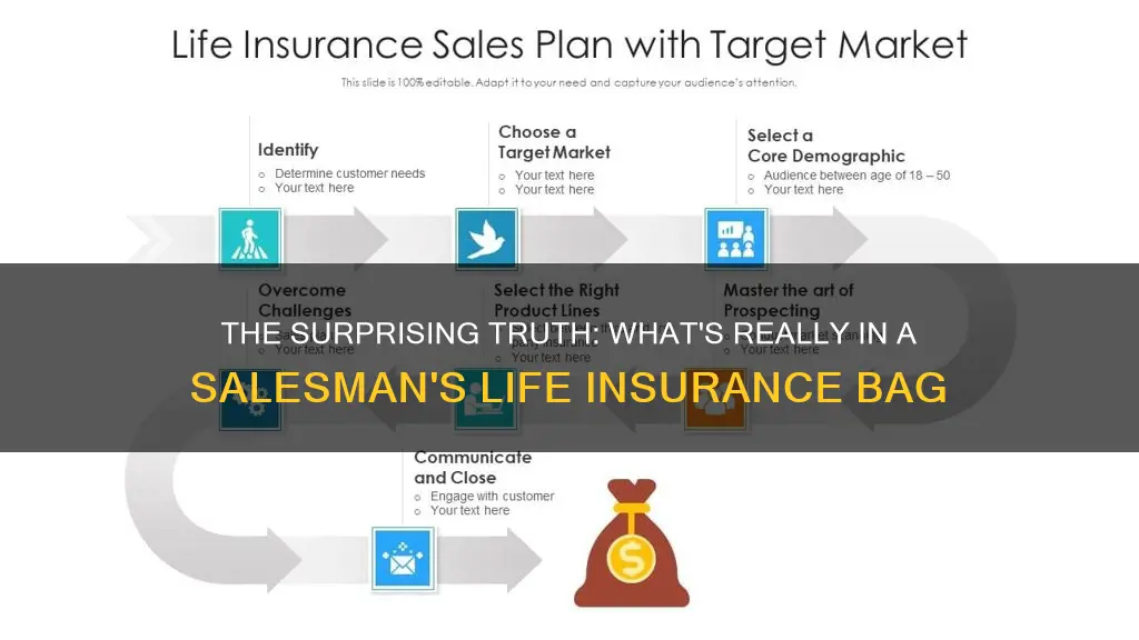 what is to seard for a life insurance salesman