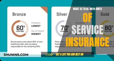 Understanding Total Days Units of Service Insurance: A Comprehensive Guide