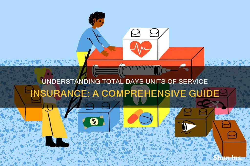 what is total days units of service insurance