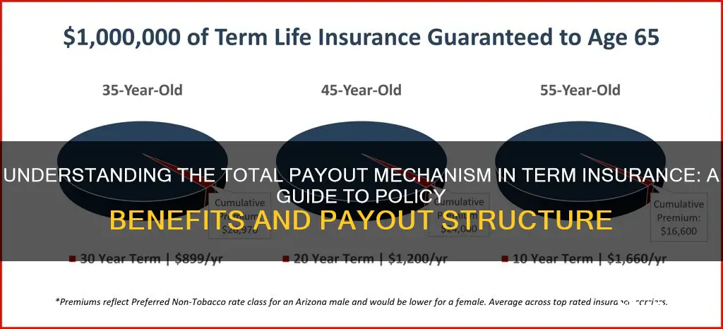 what is total payout in term insurance