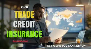 Understanding Trade Credit Insurance: Protecting Your Business from Payment Risks