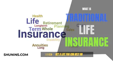 Understanding Traditional Life Insurance: A Comprehensive Guide